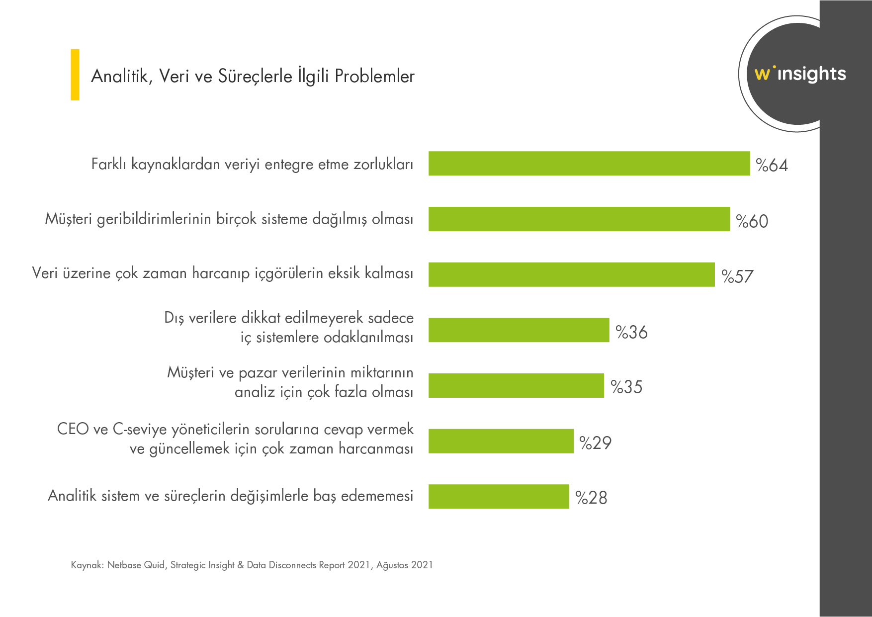 Analitik, Veri ve Süreçlerle İlgili Problemler