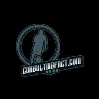 consultingfact com