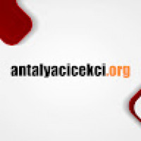 Antalya Çiçekçi
