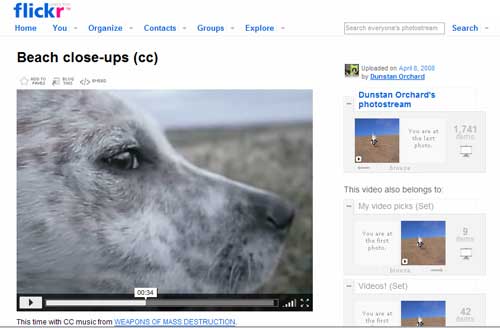 Flickr Video