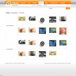 turuncu_1219848599063