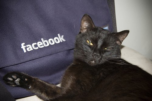 Facebook'a 200 milyon dolarlık nokta atışı yatırım