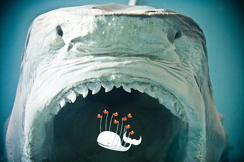 Friendfeed ve Twitter'da Dünya Daha Hızlı Dönüyor