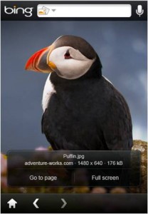 bing iphone