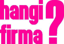 HangiFirma.Net: Hangi Otobüs Firmasını Seçmeli?