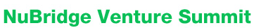 nubridge-logo nubridge-logo