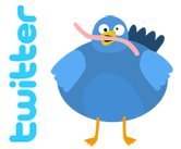 twitter şişman kuşum