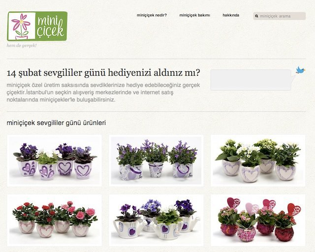 mini-cicek-1