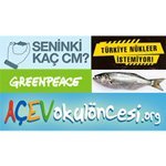 Sosyal Medya STK’lar için Bulunmaz Nimet