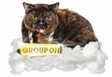 115 Milyon Aboneye Ulaşan Groupon Halka Arzda Güncellemeye Gidiyor