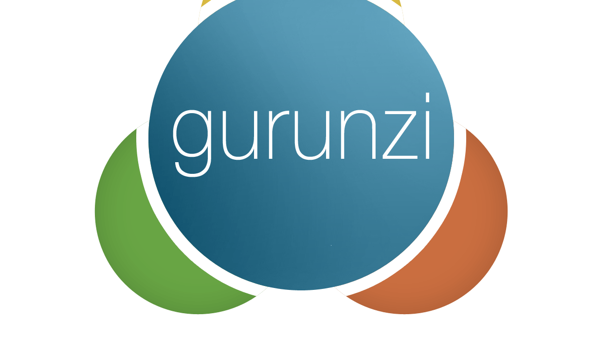 Gurunzi.com kapandı!