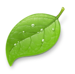 Panic'in üreticisi olduğu Coda 2 ve Diet Coda duyuruldu