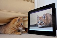 iPad kullanım alışkanlıkları [Araştırma]