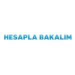 Hesaplabakalim.com 200'den fazla araçla hesaplamaya devam ediyor