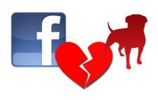 Facebook ve Zynga ilişkilerine mesafe koydu, Zynga hisseleri yüzde 12 düştü