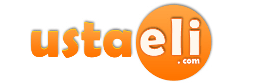 ustaeli-com-logo