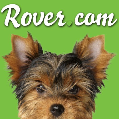 Köpekler için konaklama hizmeti veren Rover.com'a 7 milyon dolarlık yatırım