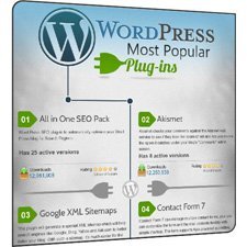 En popüler 30 WordPress eklentisi [İnfografik]