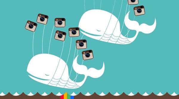 Instagram, Twitter'a muhtaç olmadan da büyüyebiliyor