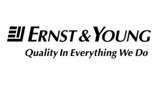 Ernst & Young'a göre 2013'te melek yatırımcı ve özel sermaye grupları internete yatırım yapmayı sürdürecek