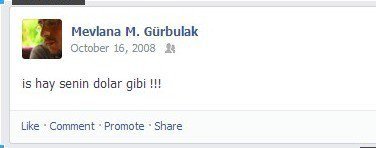 51605e3b9d29c95438000031