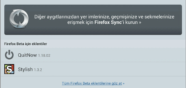 firefox-beta-turkce 2