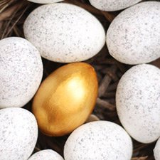 Önümüzdeki 4 yılın gelecek vaat eden girişim alanları