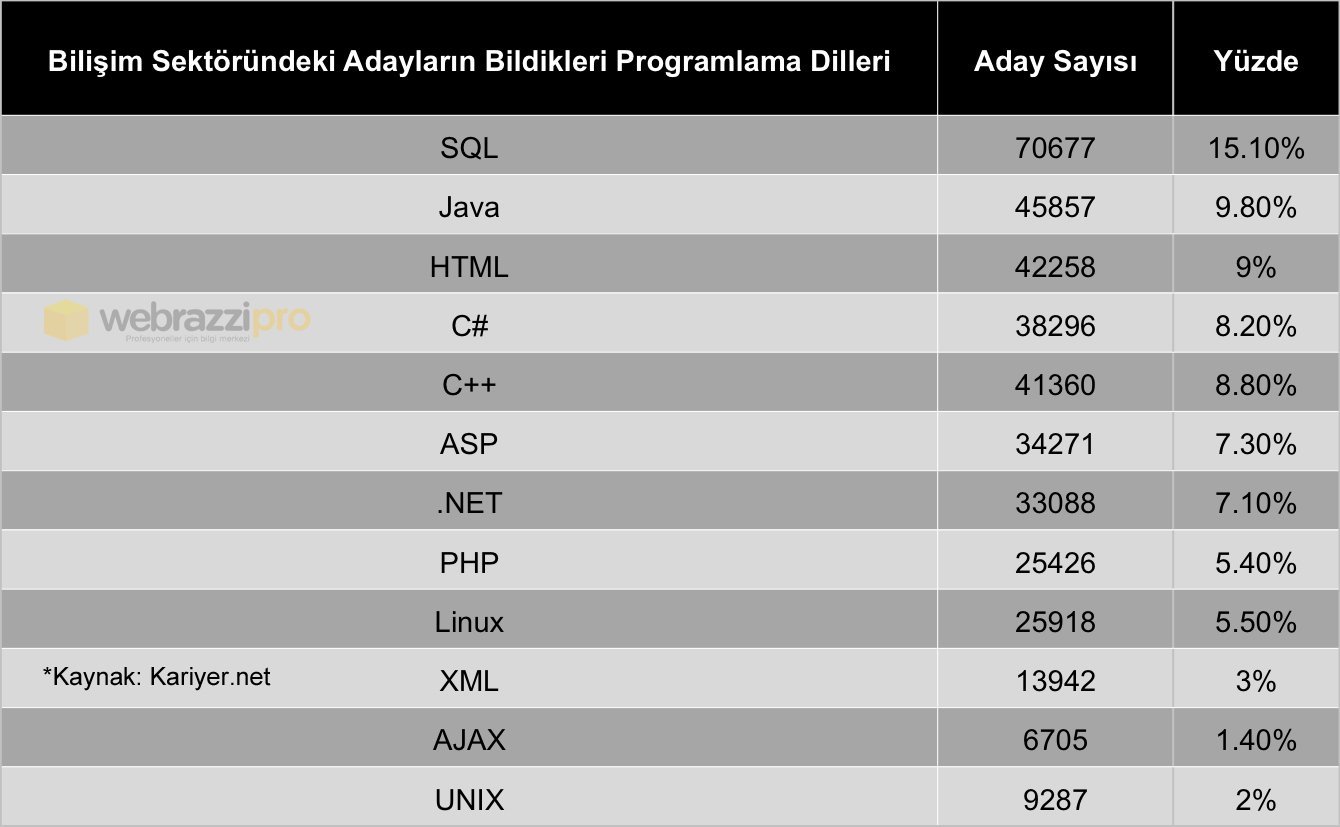 bilisim_sektorunde_is_arayanlarin_en_cok_bildikleri_programlama_dilleri