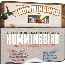 Google'ın yeni Hummingbird algoritmasının SEO'ya etkileri [infografik]