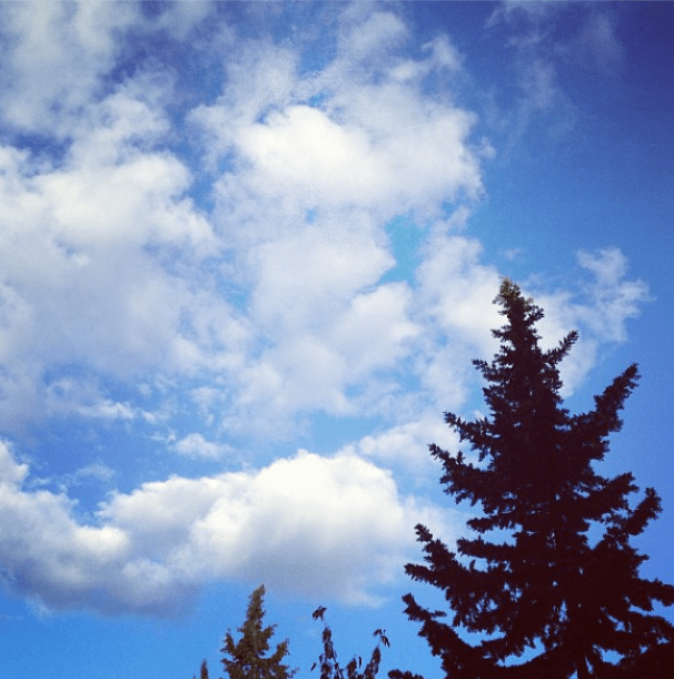 Mavi rengin hakim olduğu Instagram fotoğrafları daha çok beğeni alıyor [İnfografik]