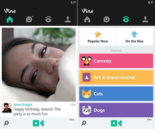 vine-screens