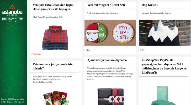 Aslanoba Capital portföyündeki girişimlerden yılbaşı fırsatları sunuyor