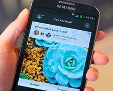 Biz Stone’un yeni girişimi Jelly’nin ilk hafta karnesi yayınlandı