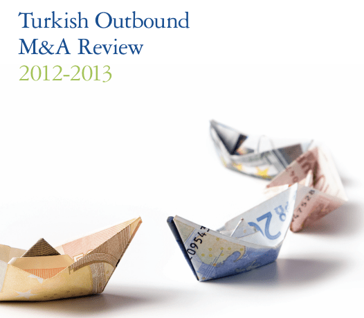 Türk şirketlerinin yurtdışına yaptıkları internet yatırımları 2013 yılında arttı