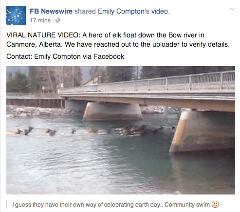 Facebook'un Newswire'ı dünyanın en büyük sosyal haber ajansı olmaya aday