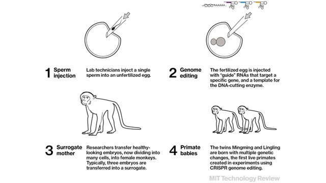 genome