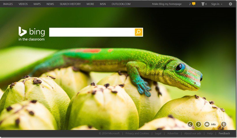 Bing'den çocuklara özel arama motoru deneyimi: Bing in the Classroom