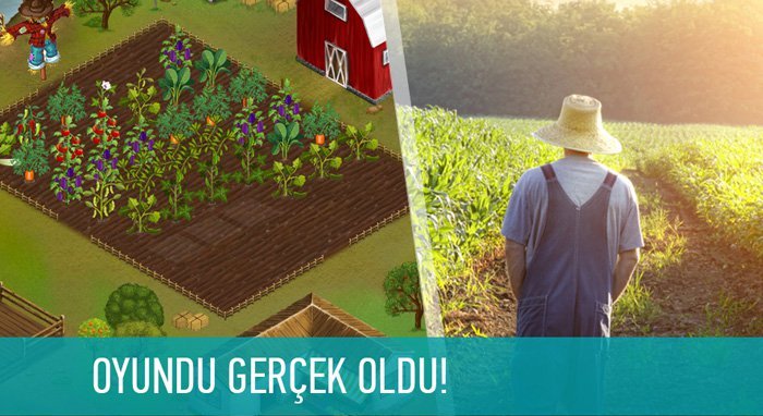 Komsukoy: Online olarak yönettiğiniz tarlanızda yetişenleri evinize yollayan girişim