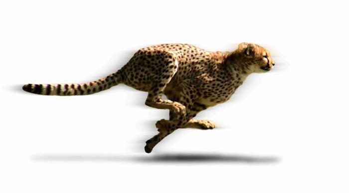 ABD'nin en iyi 15 Girişim Hızlandırma Programı