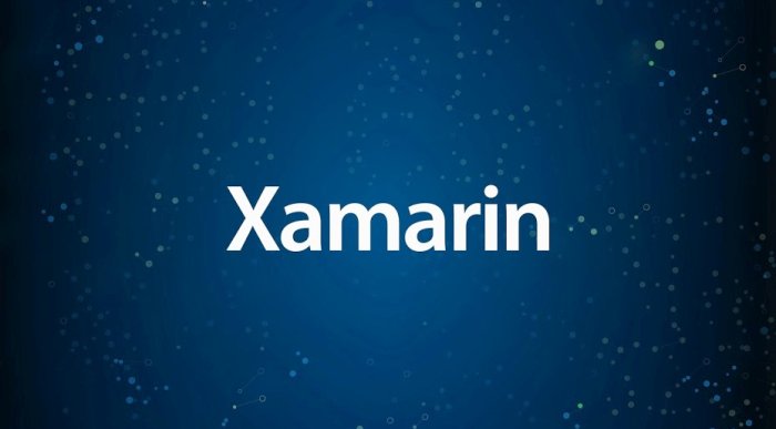 Çoklu platform mobil uygulama geliştirme aracı Xamarin'e 54 milyon dolar yatırım