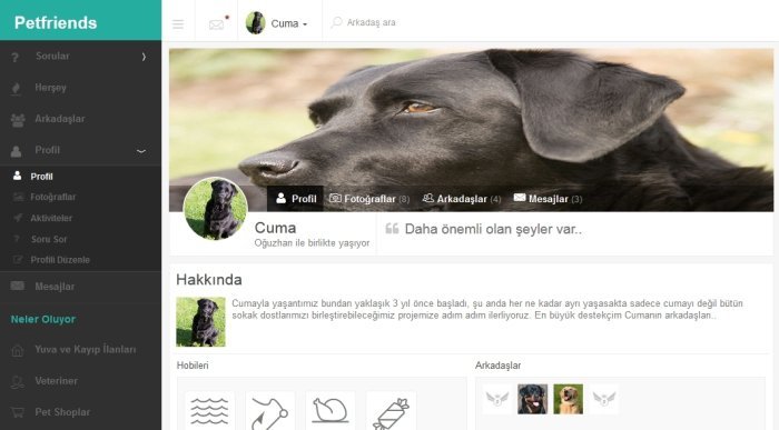 Petfriends.social: Sokak hayvanlarını sahiplendirmeyi amaçlayan sosyal ağ