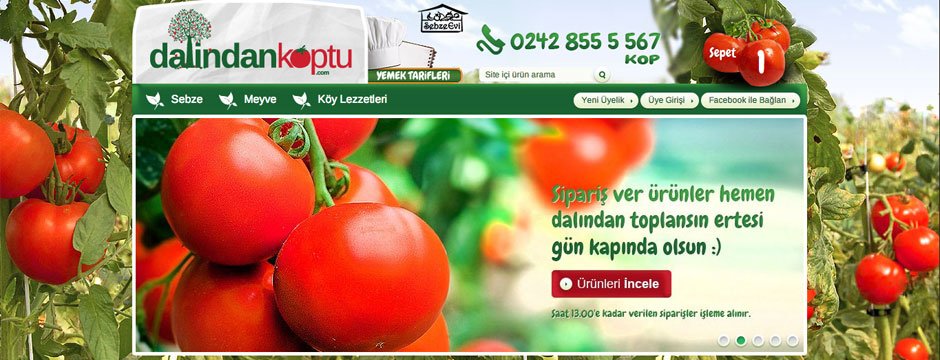 dalindankoptu-header