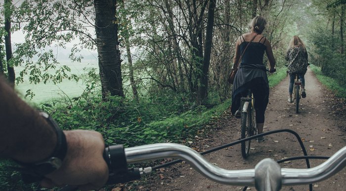 Yerel kişiler rehberliğinde tatil programları sunan bir turizm girişimi: FamilyVacation.com