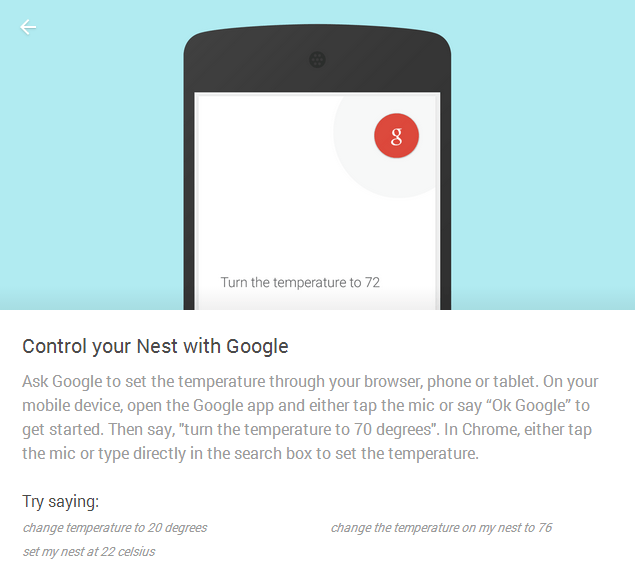 nest-google
