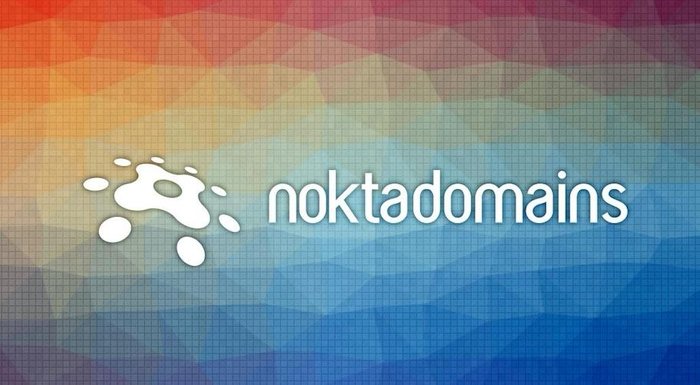 Nokta Domains 2014'te 280 alan adı kiraladı