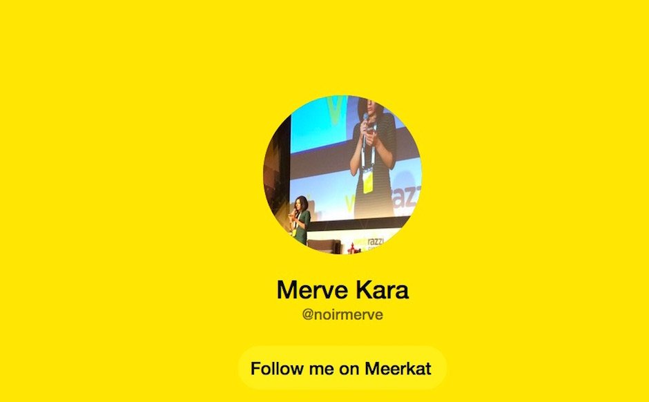 meerkat merve