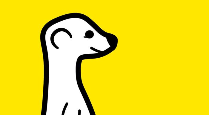 Meerkat, canlı yayında başka bir kullanıcıya bağlanma özelliğiyle yeniden viral olabilir