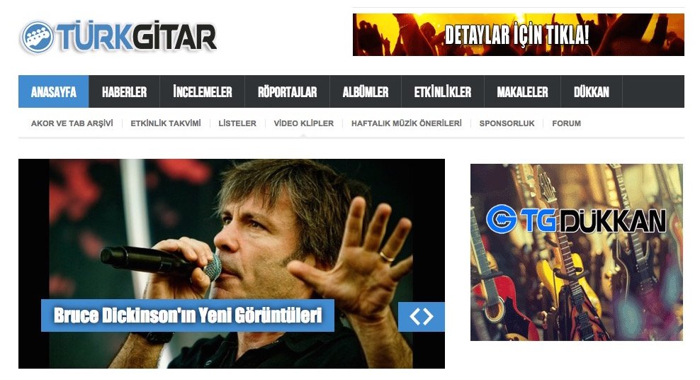 türk gitar 2