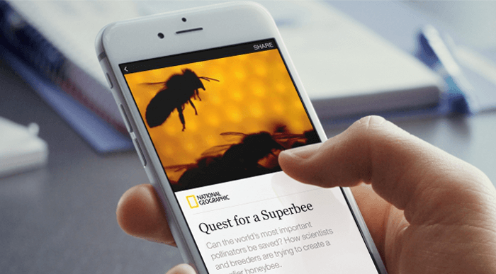 facebook-instant-articles