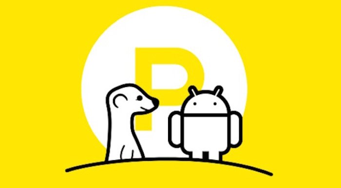 Android uygulamasını yayınlayan Meerkat yüzünü Facebook'a döndü